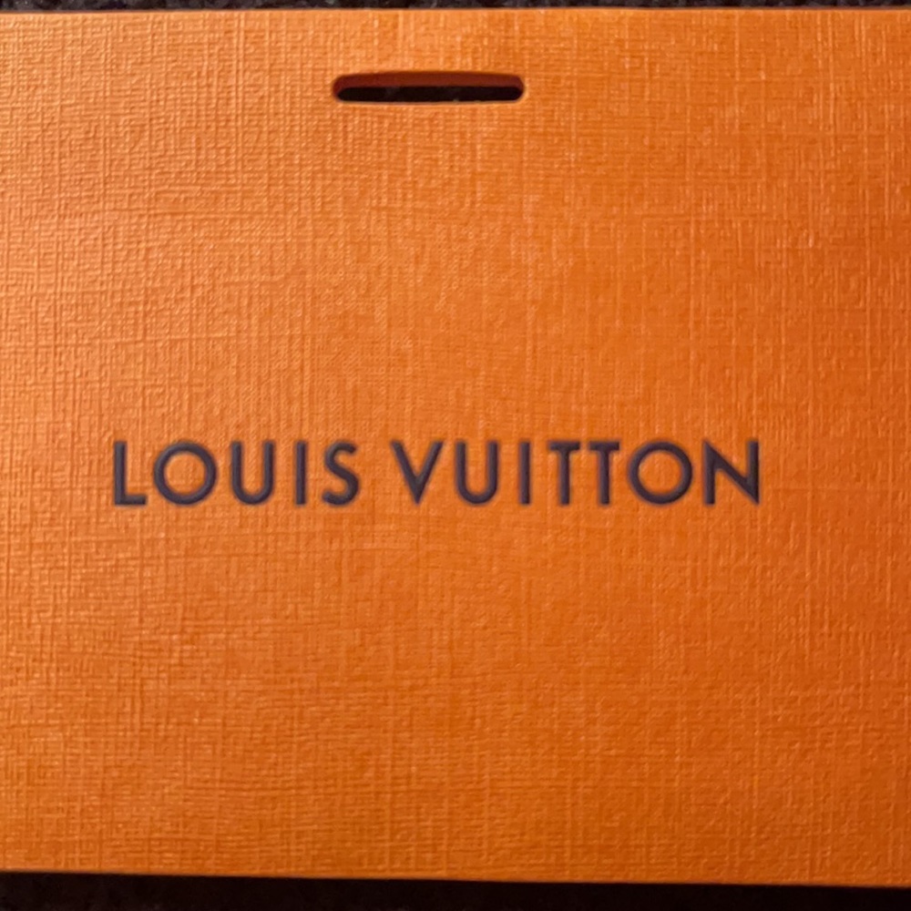 Louie Vuitton Belt - Picture 3 of 6